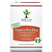 Probiotic for dogs and puppies